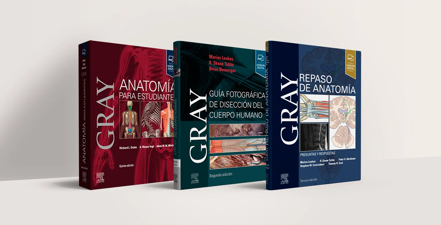 Bodegon-Gray-Landing-Books-RETAIL-1500x768