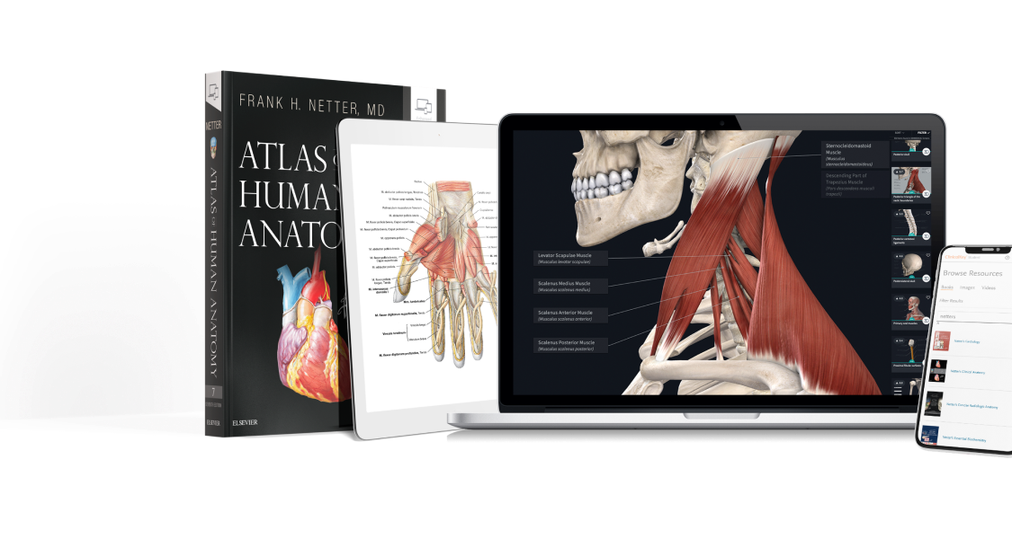 BANNER - mobile - Complete Anatomy & ClinicalKey