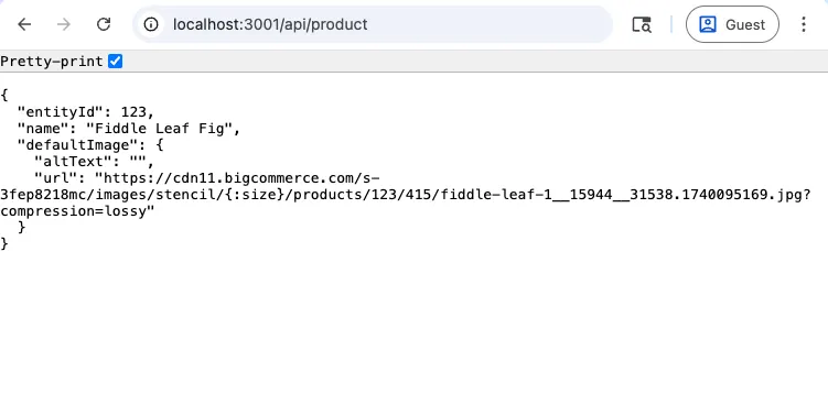 API route handler 1