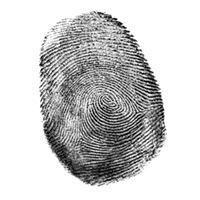 10 Tips to Protect Yourself From Identity Theft