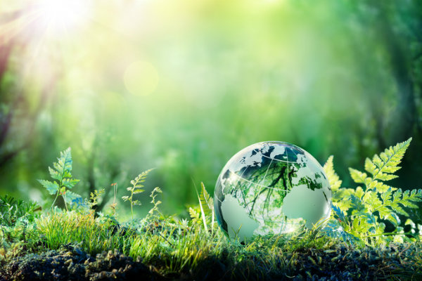 45 Sustainability Resources You Need to Know