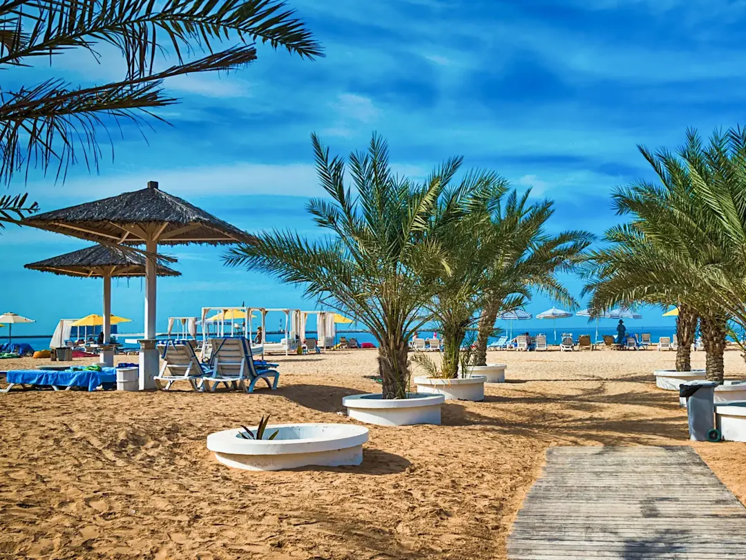 UAE, Ras Al Khaimah, Ras Al Khaimah Sandstrand mit Palmen und Sonnenliegen bei klarem Himmel. Ras Al Khaimah, UAE.
