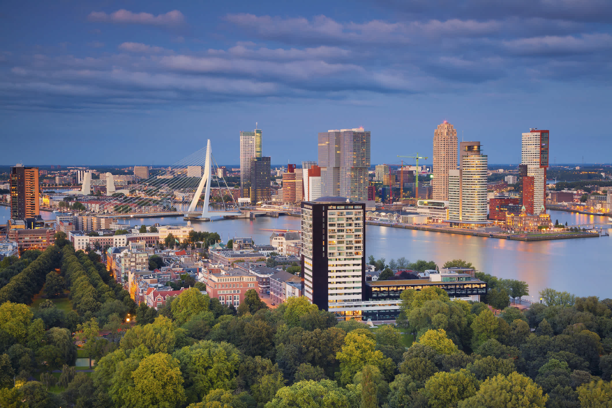 Blick auf die Skyline von Rotterdam - zu erleben bei einem Rotterdam Urlaub