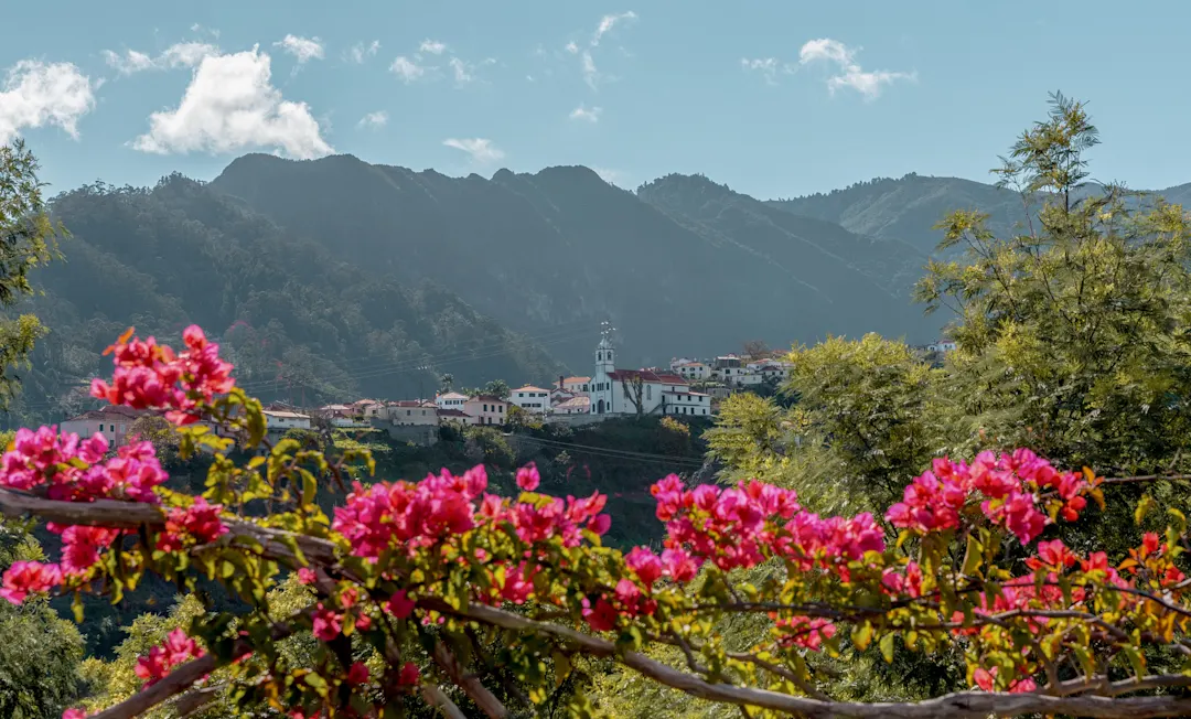 Portugal Madeira Sao Vicente Blumen Madeira ist bekannt für seine Blumen und hat sogar ein Blumenfest. Hier sieht man in der Ferne die Stadt Sao Vicente.