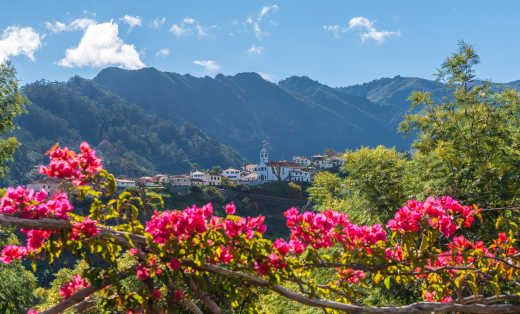 Madeira ist bekannt für seine Blumen und hat sogar ein Blumenfest. Hier sieht man in der Ferne die Stadt Sao Vicente.