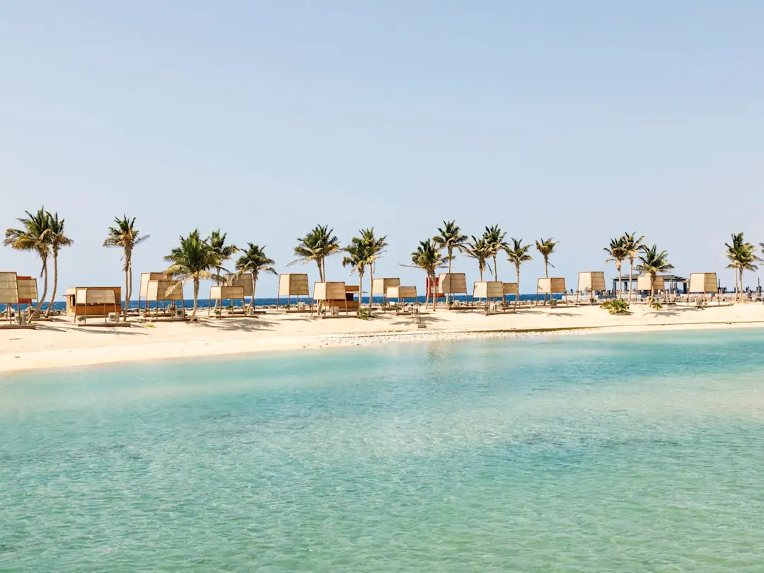 Paradiesischer Strand mit Palmen am Roten Meer, Umluj, Tabuk, Saudi-Arabien.
