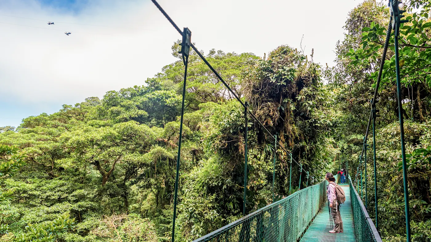 Costa Rica, Hängebrücke Frau auf einer Hängebrücke im tropischen Regenwald mit dichtem grünen Blätterdach. Costa Rica.