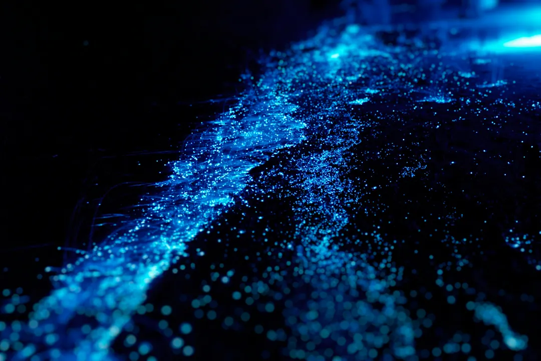Kambodscha Koh Rong Samloen Biolumineszierendes Plankton Genießen Sie das biolumineszente Plankton bei Nacht in den Gewässern von Koh Rong Samloen