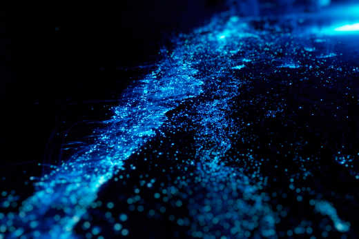 Genießen Sie das biolumineszente Plankton bei Nacht in den Gewässern von Koh Rong Samloen