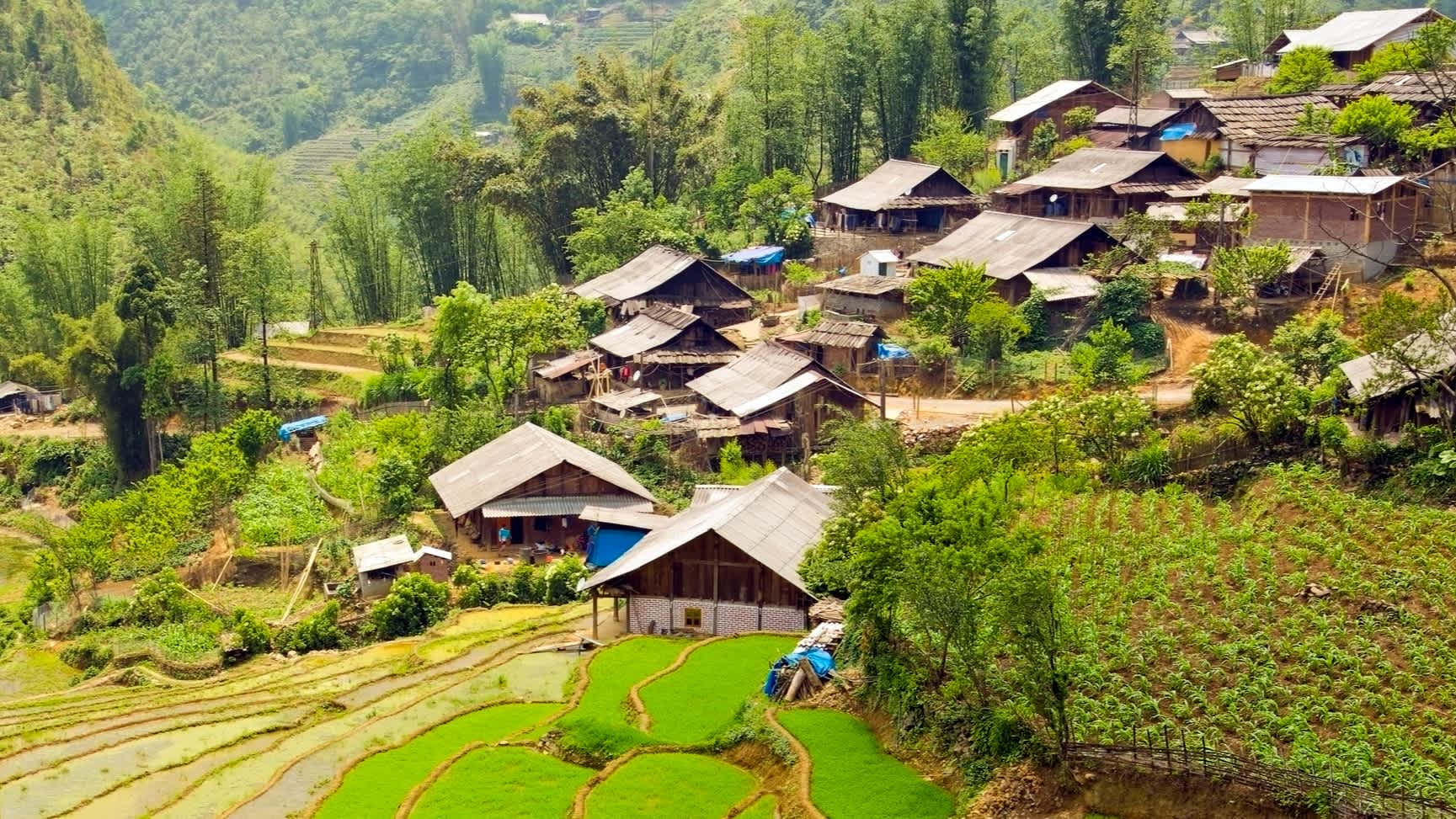 Cabanes en bois typiques d'un village akha, au Vietnam