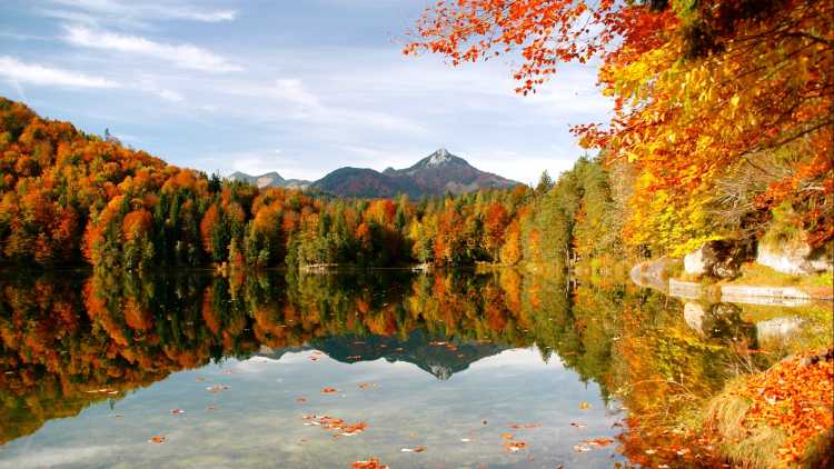 Les couleurs automnales de l'été indien d'une forêt au bord d'un lac au Canada.