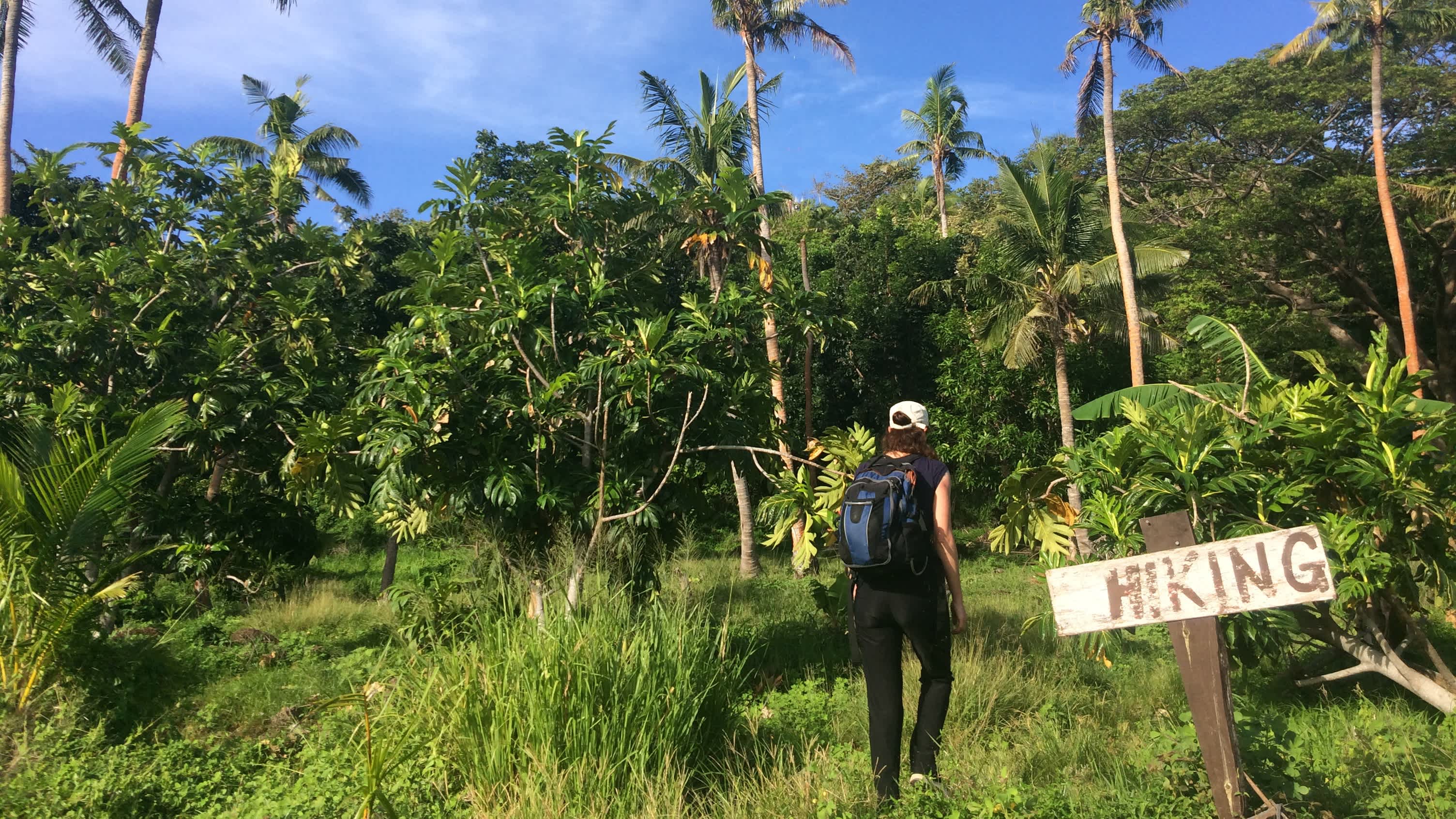 Wanderweg im Dschungel