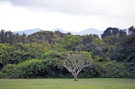 De Ngong Hills bekeken vanaf het prachtige groene platteland in het noorden van Nairobi.