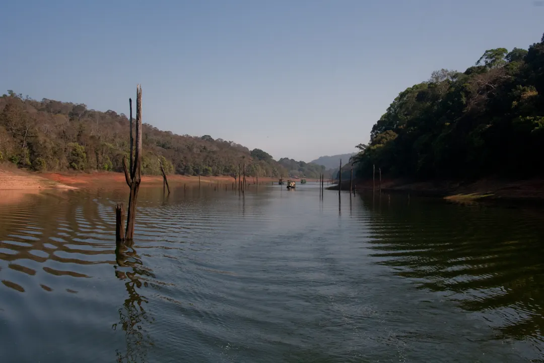 Thekkady, Indien Periyar See bei Thekkady Kerala