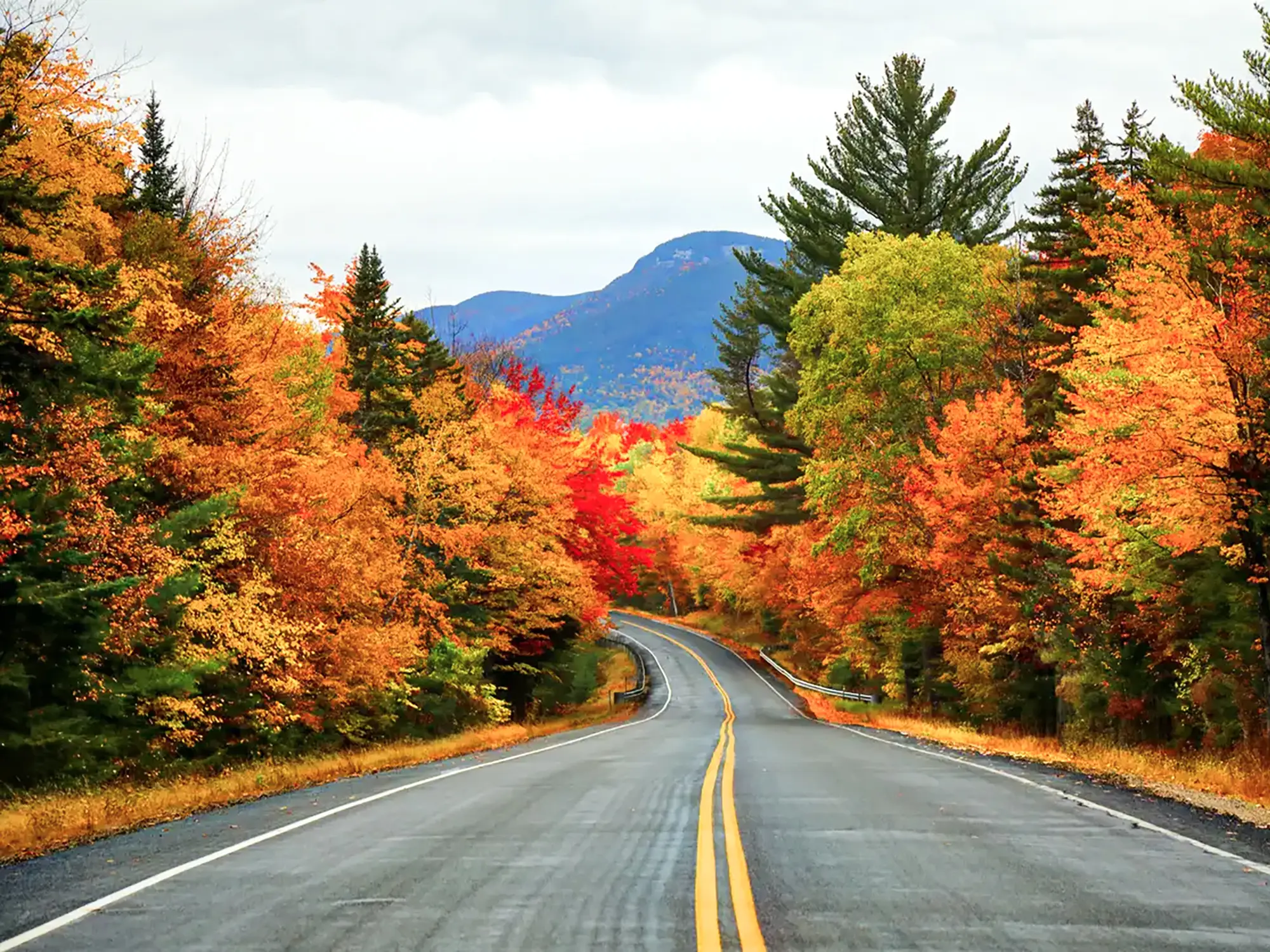 Straße durch einen Wald mit leuchtendem Herbstlaub. White Mountains, New Hampshire, USA.
