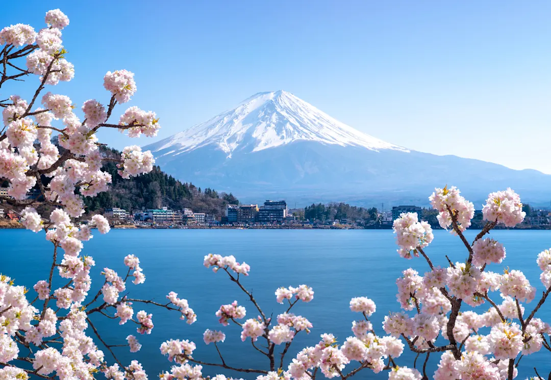 Japan, Fuji, Kirschblüten