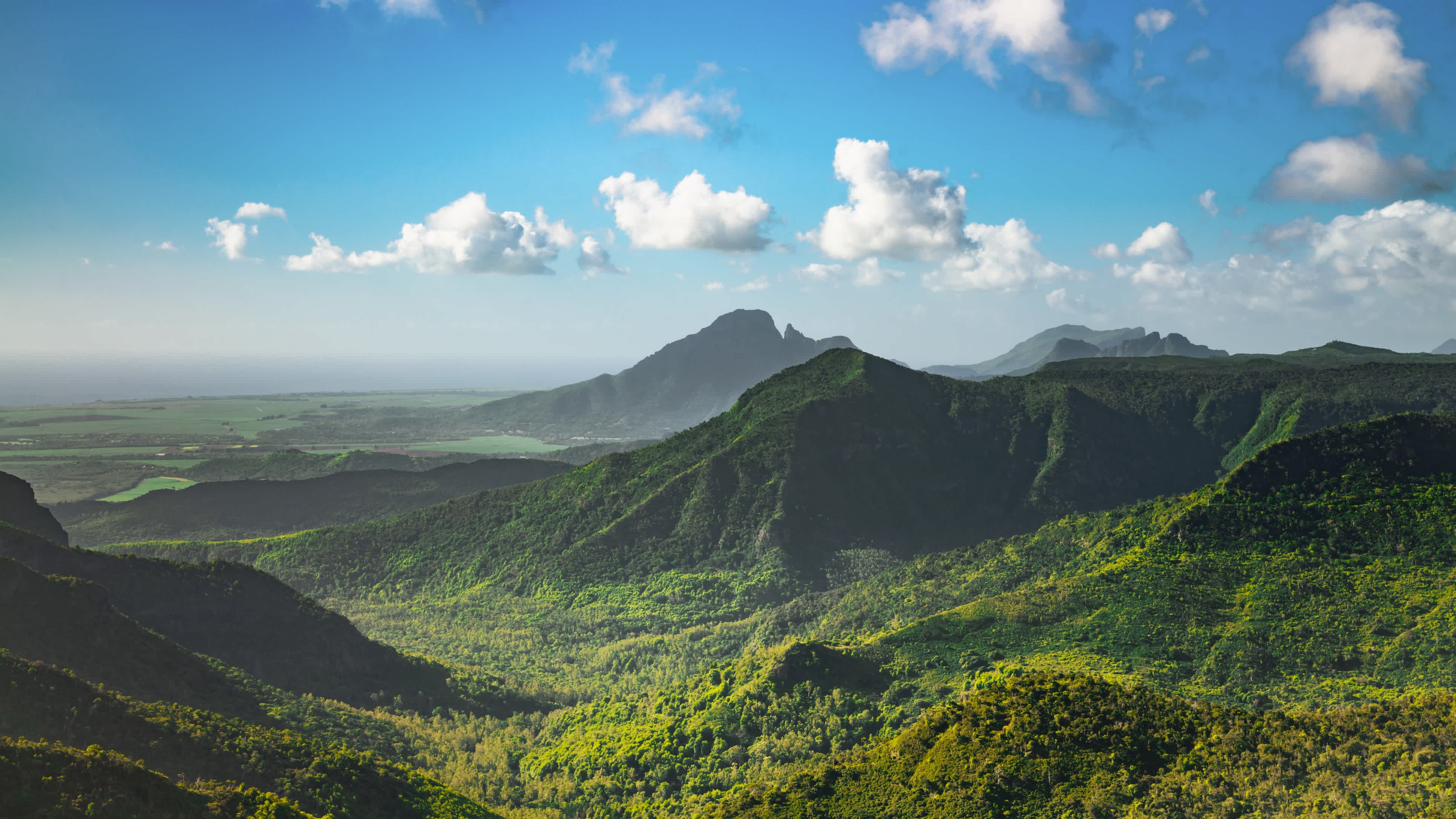 Vue aérienne sur le paysage verdoyant du parc national des gorges de la rivière Noire, à l'Île Maurice.