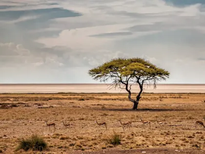 Road trip en Namibie - Image 1