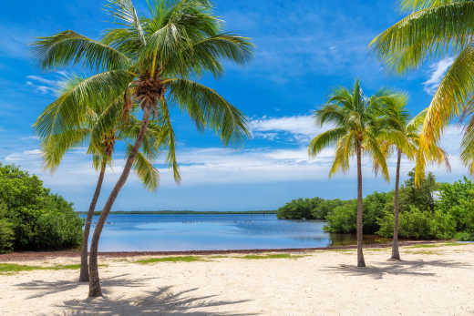 Paysage de palmiers, sable blanc et eaux bleues depuis la plage de Key Largo, en Floride