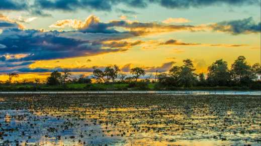 Coucher de soleil coloré dans le Pantanal, Brésil.