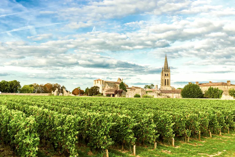 Lush green vineyard with rows of grapevines leading to a French village with stone buildings and church spire under cloudy sky.