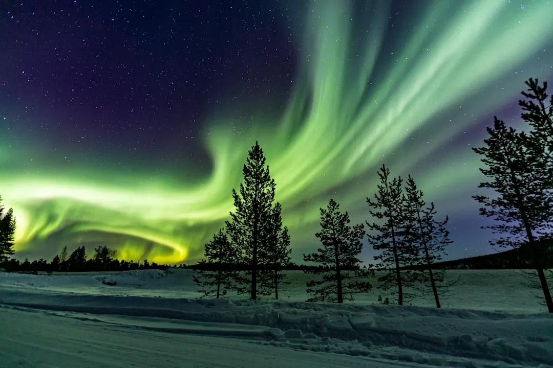 Morgendämmerung über den Bäumen, Finnland