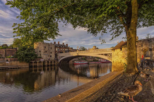 Sonnenuntergang mit Brücke und Enten in York