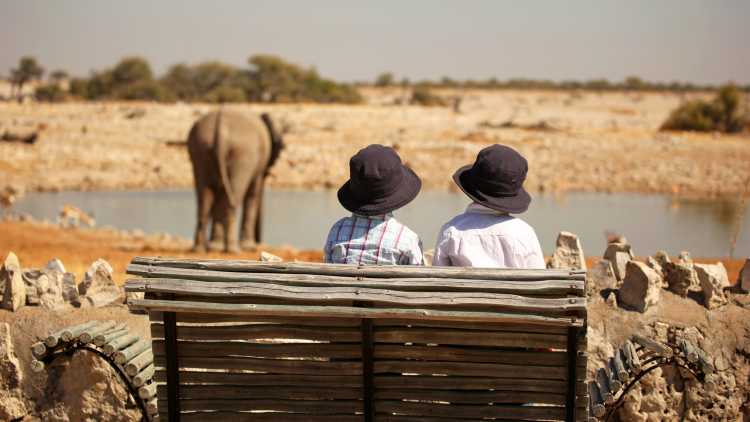 2 Kinder sitzen auf einer Bank und beobachten Elefanten im Etosha Nationalpark, Namibia