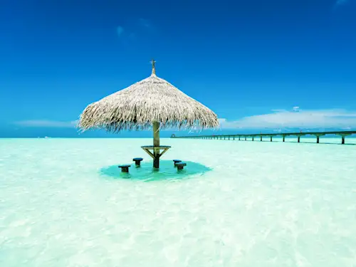 Tout était bien organisé