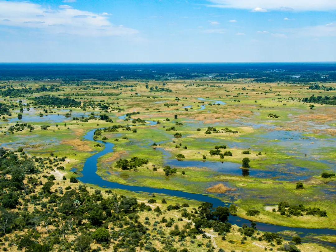 Luftaufnahme des Okavango-Deltas mit Flussläufen und grüner Vegetation, Maun, Botswana