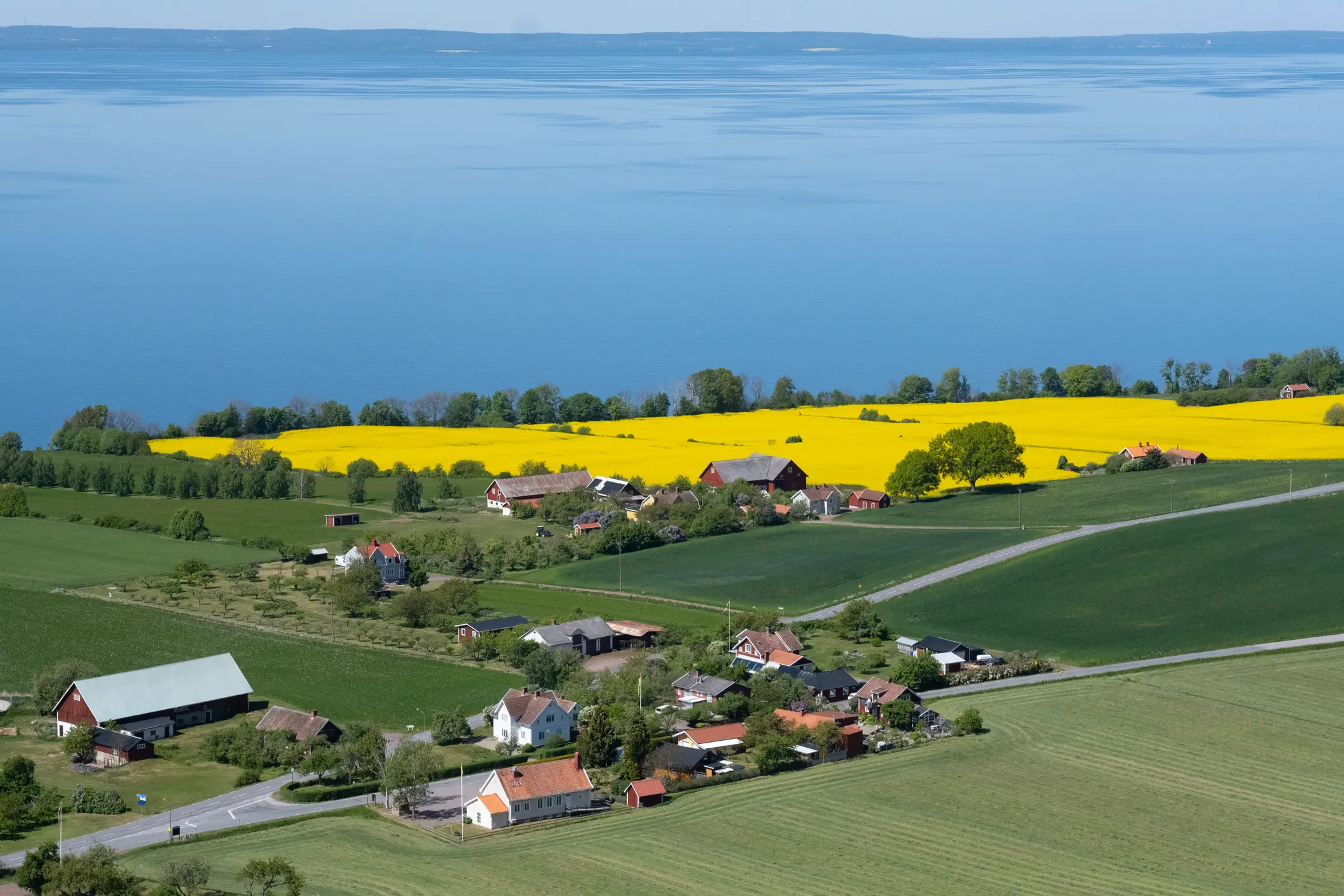 Vatternsee, Raps, Schweden, Agrarbetrieb, Blickwinkel der Aufnahme Vatternsee, Raps, Schweden, Agrarbetrieb, Blickwinkel der Aufnahme