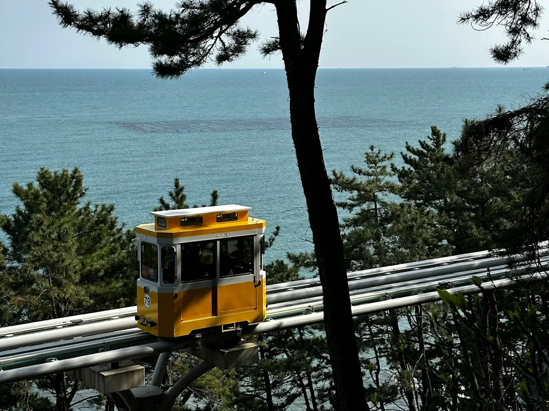 Busan, Südkorea Gelbe Einschienenbahn fährt durch Pinienwald mit Blick auf das Meer, Busan, Südkorea