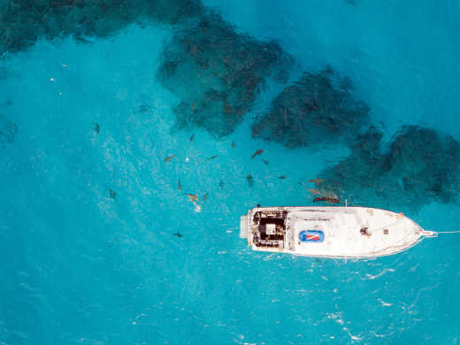 Drohne Blick auf Haie auf den Bahamas 