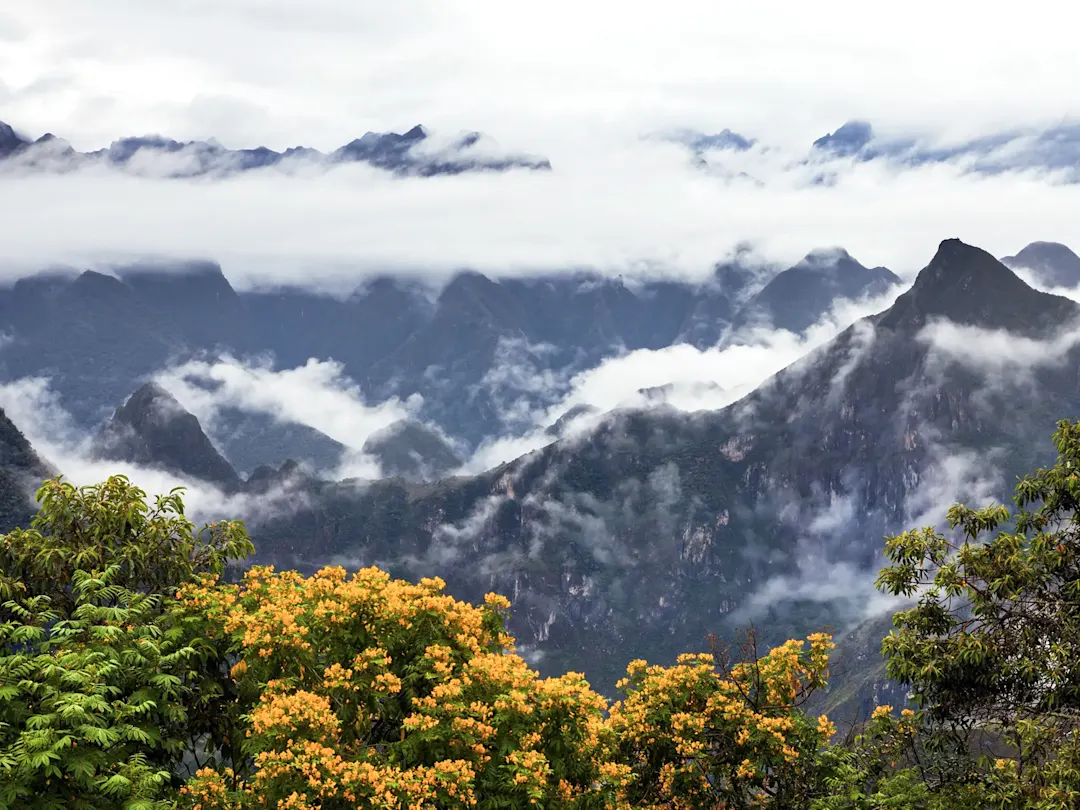Nebelige Anden mit grünen Bergen und gelben Blumen. Machu Picchu, Cusco, Peru.