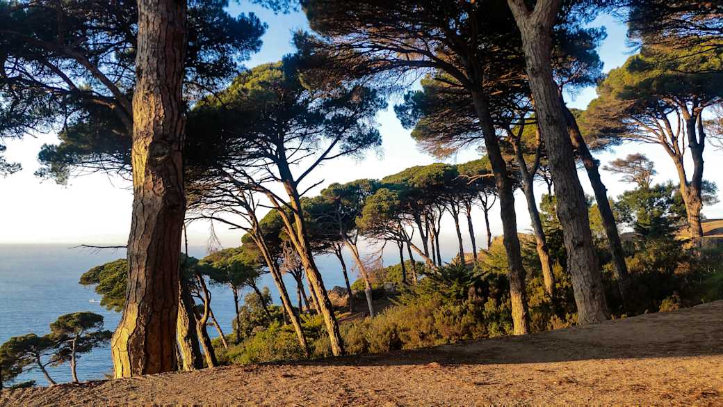 Visiter Tanger : les meilleures attractions | Tourlane