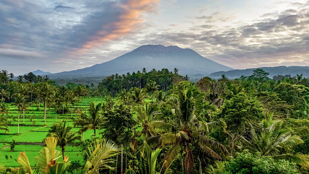 Luftaufnahme des Mount Agung bei Sonnenaufgang, Schöne Aussicht auf Reisfelder mit dem Vulkan Agung bei Sonnenaufgang