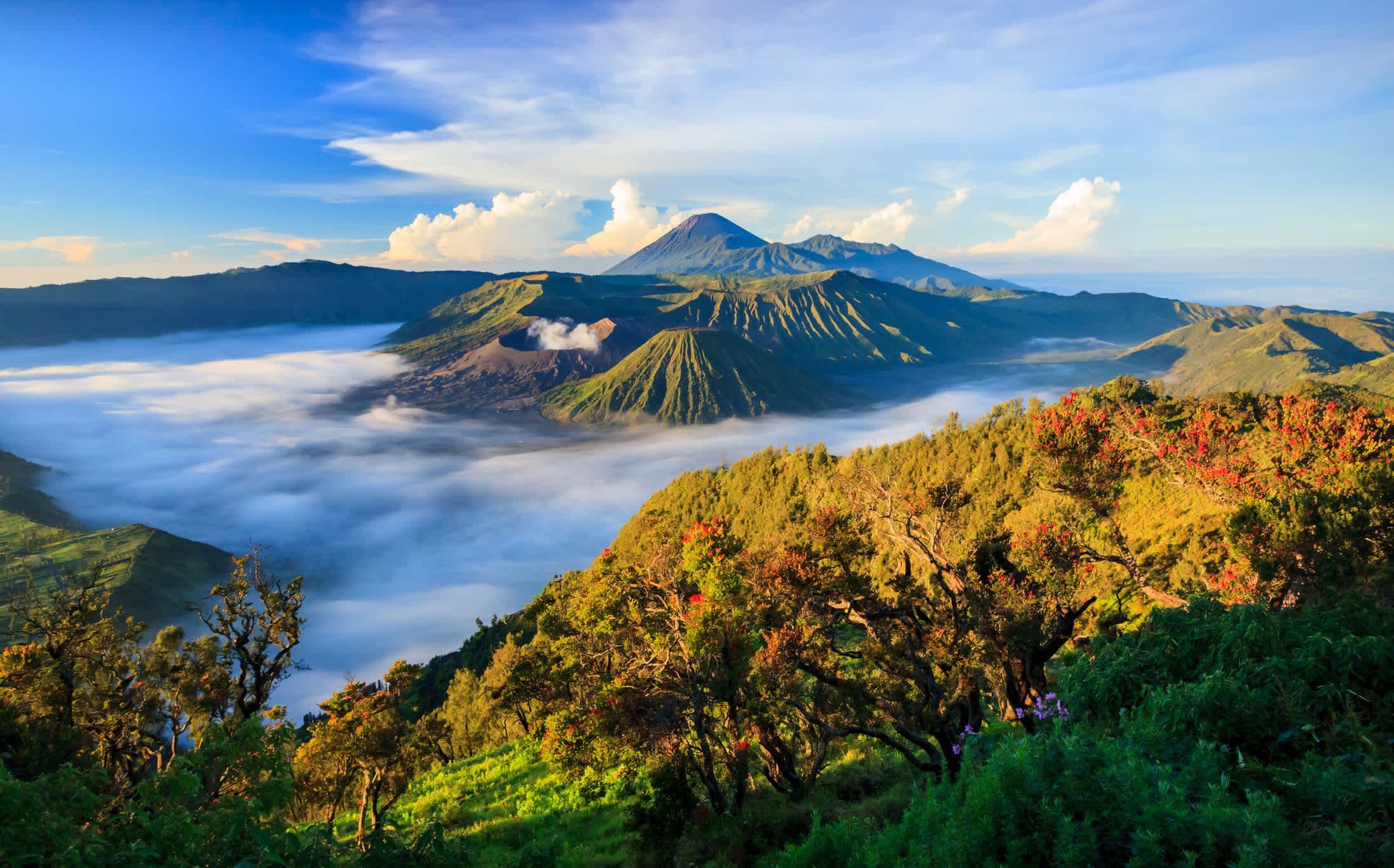 Aufnahme des Mount Bromo Vulkans auf Java