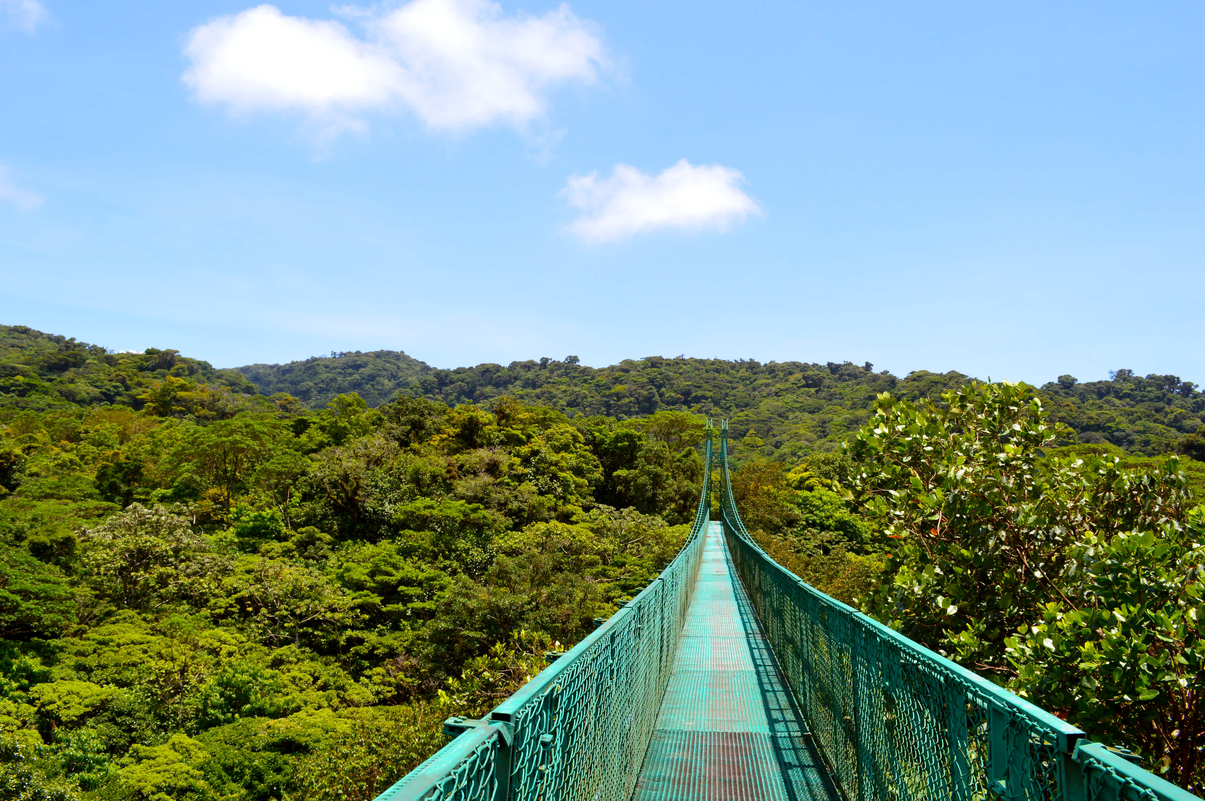 Costa Rica Monteverde Selvatura
