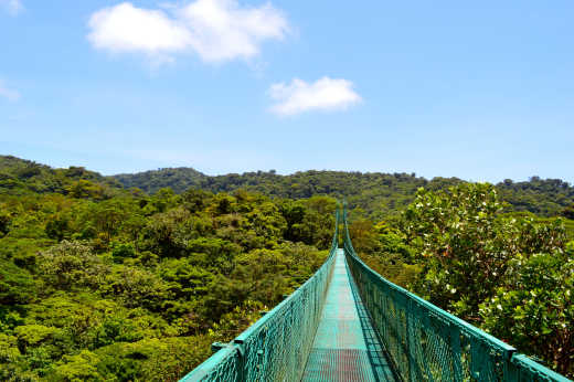 Pont suspendu dans la réserve biologique de Monteverde, l'une des attractions les plus populaires du Costa Rica.