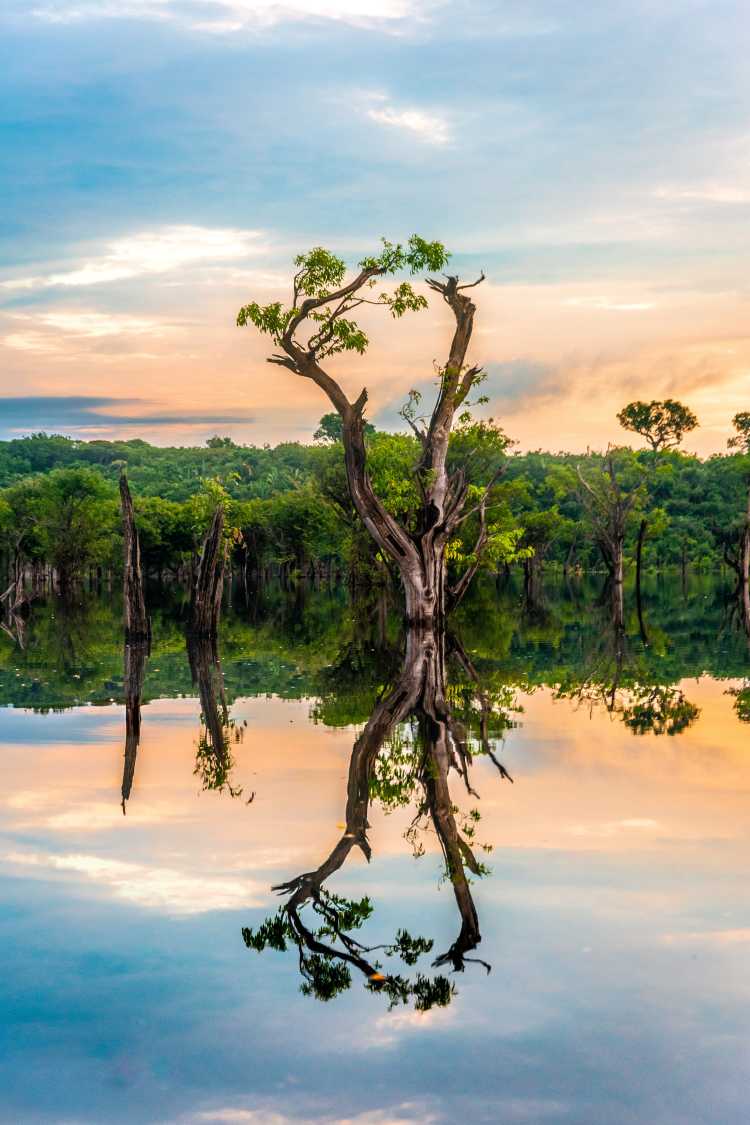 Verschiedene Länder in Südamerika bei einer Amazonas Reise erleben