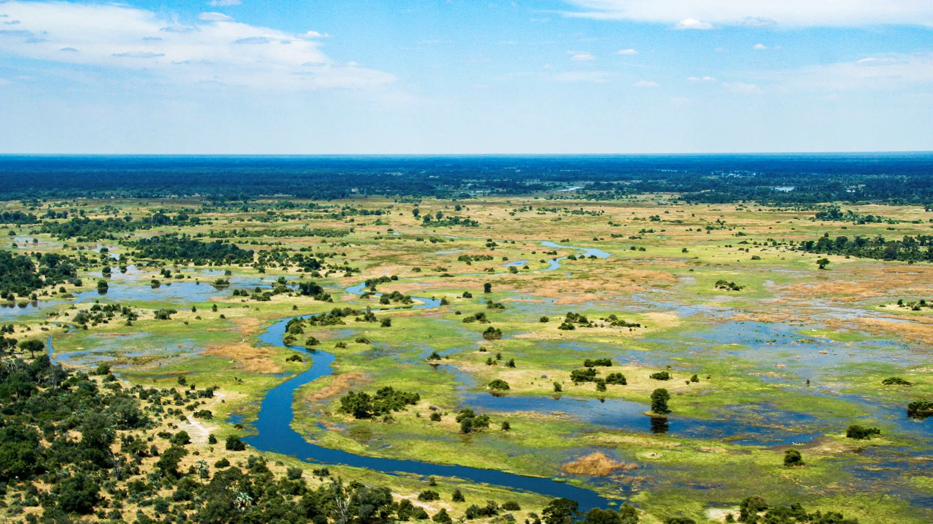 Blick über das Okavango Delta in Botswana aus der Luft