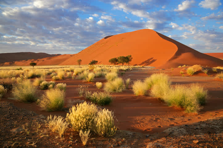 Sossusvlei Woestijn in Namibië