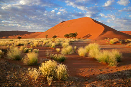 Offrez-vous une randonnée hors des sentiers battus dans le magnifique désert de Sossusvlei pendant votre voyage en Namibie.