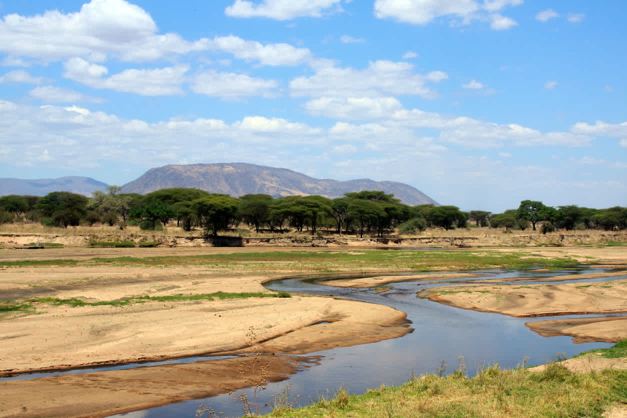 Het intrigerende landschap van het Ruaha National Park in Tanzania