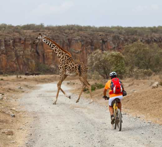  Ein Mountainbiker in Afrika.

