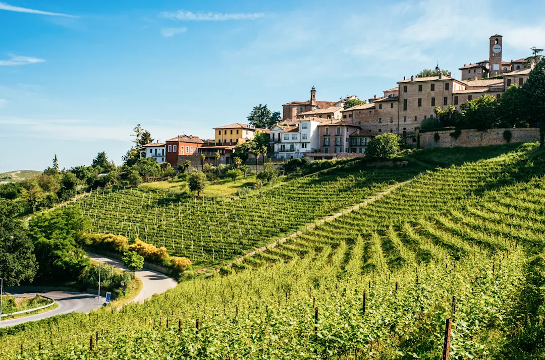 Weinberge in der Cuneo Provence, Piemont, Italien
