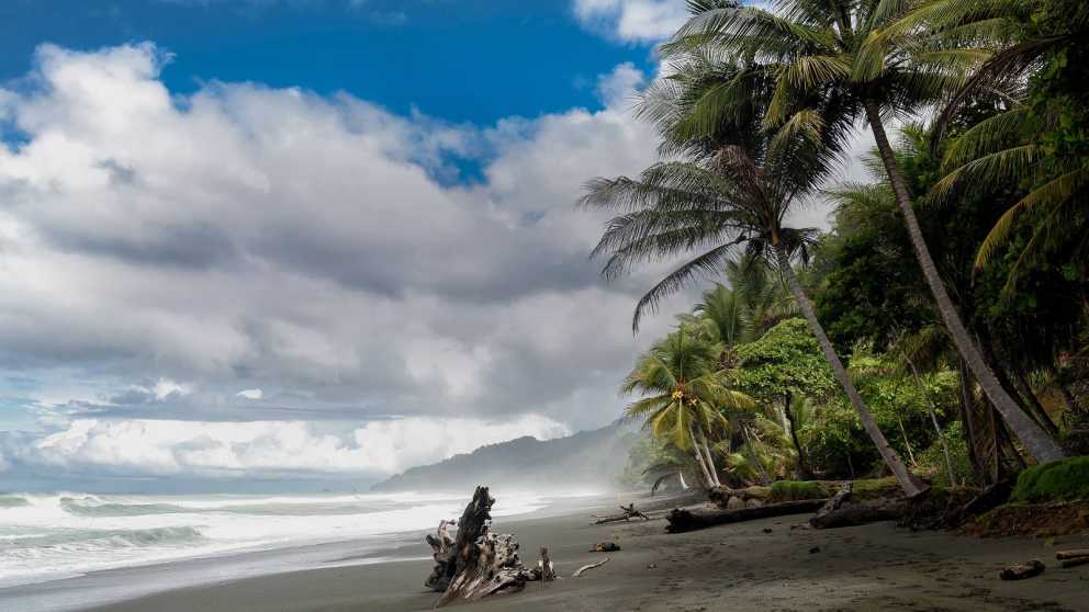An exotic beach, palm trees and a cloudy sky, Central America