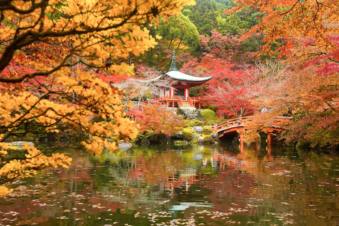 Herbst, Kyoto, Japan