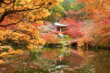 3 semaines au Japon - Image 1