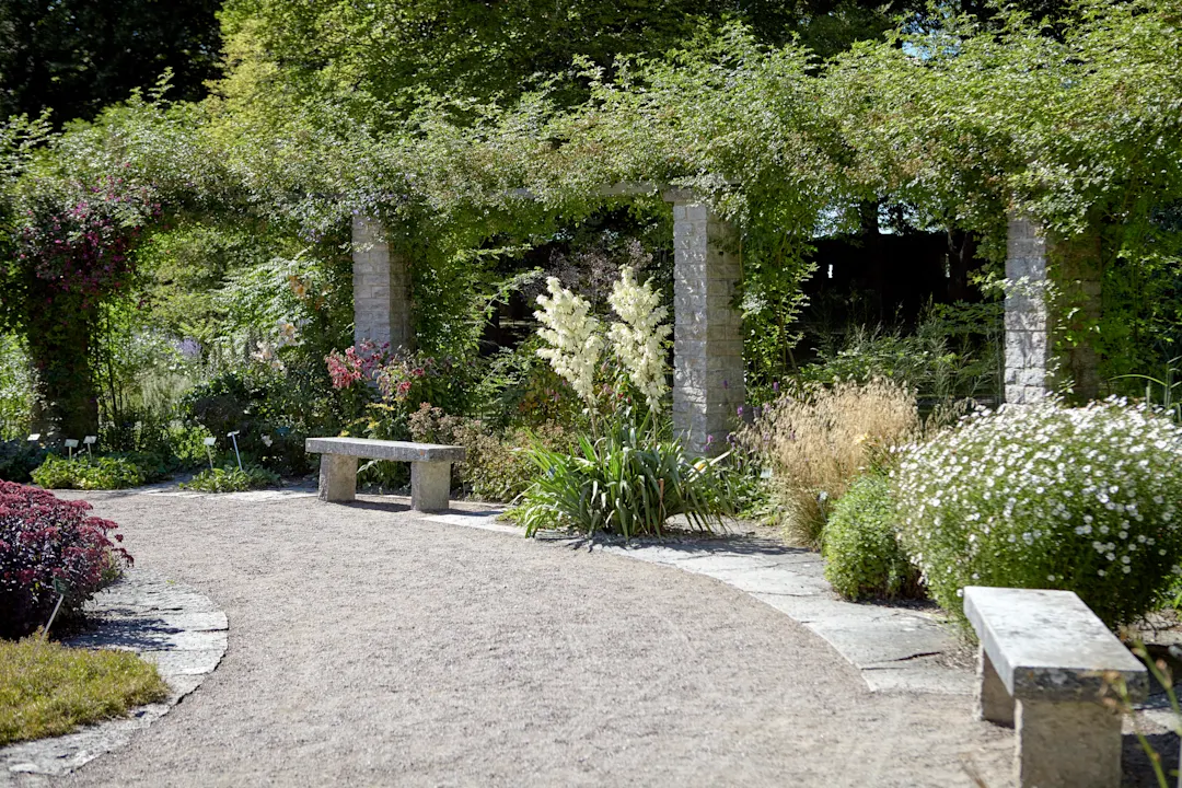 Visby, Alt, Architektur, Botanischer Garten, Fotografie Visby, Alt, Architektur, Botanischer Garten, Fotografie